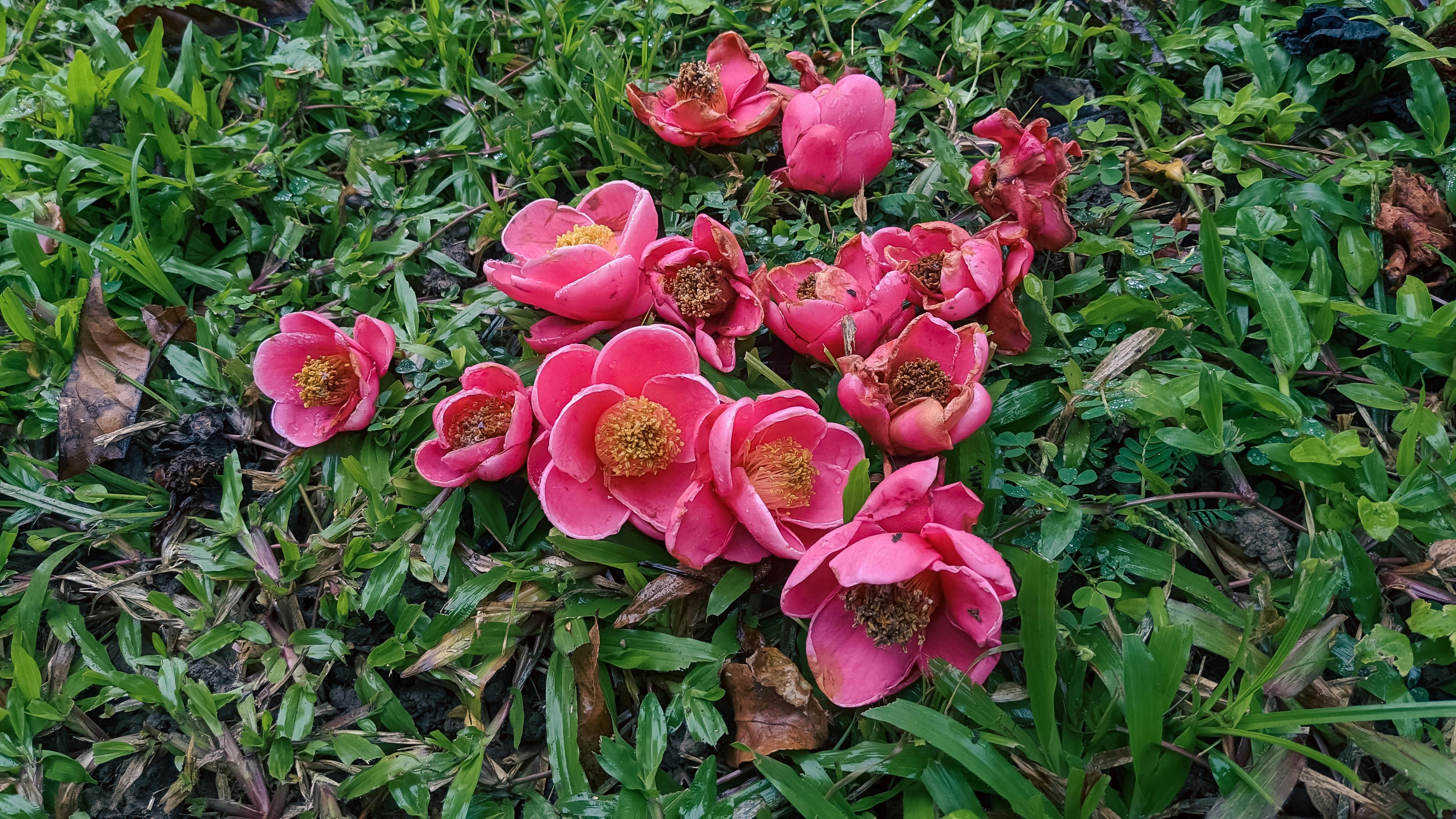 Giận | Chương 08 648 – thu vien, van hoc, van hoc viet nam, doan van, ton giao, phat giao, thien van, thuc hanh ton giao, thich nhat hanh, gian, gian chuong 08, gian 08.