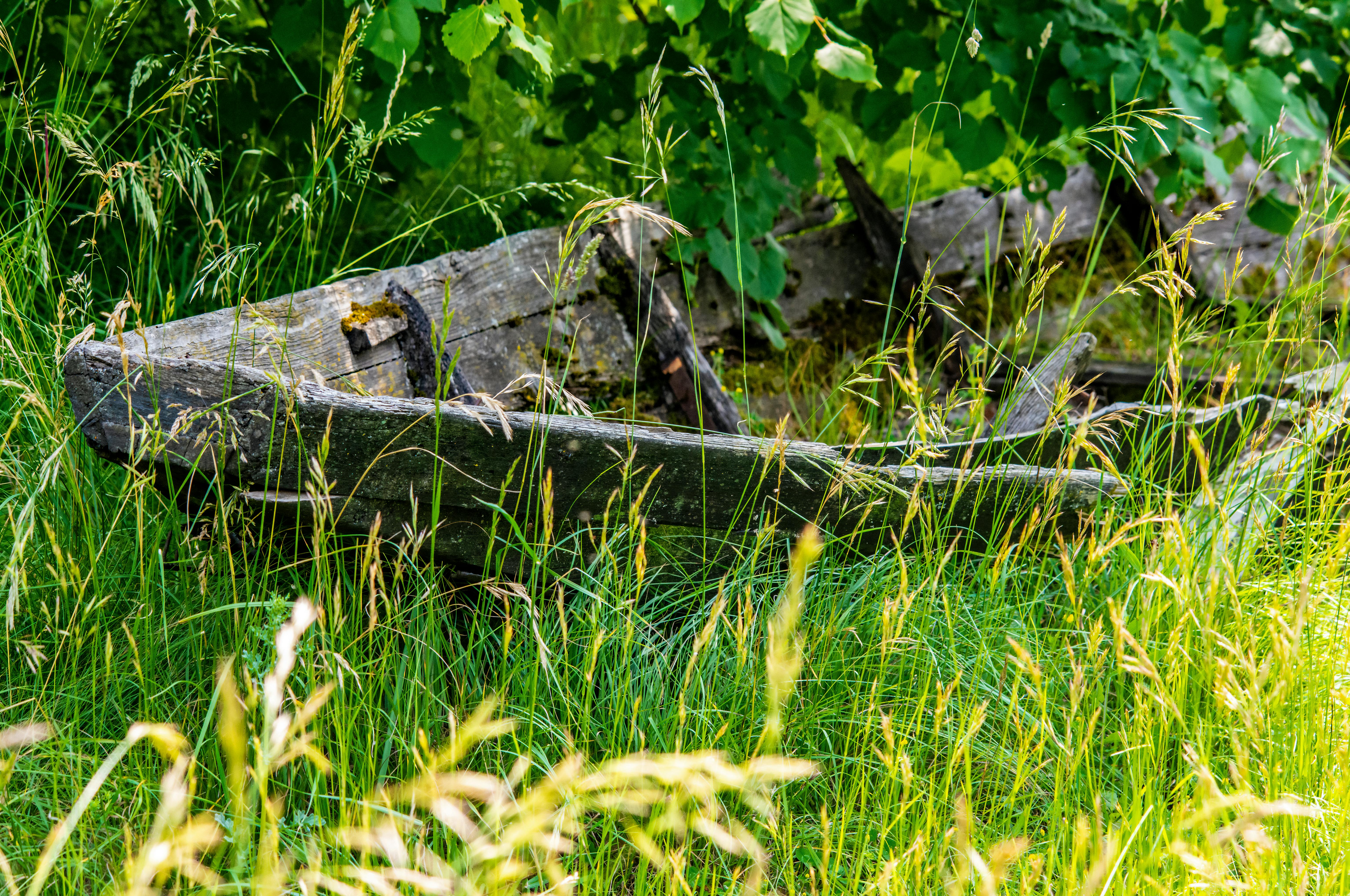 A Comprehensive History of Cinnamon