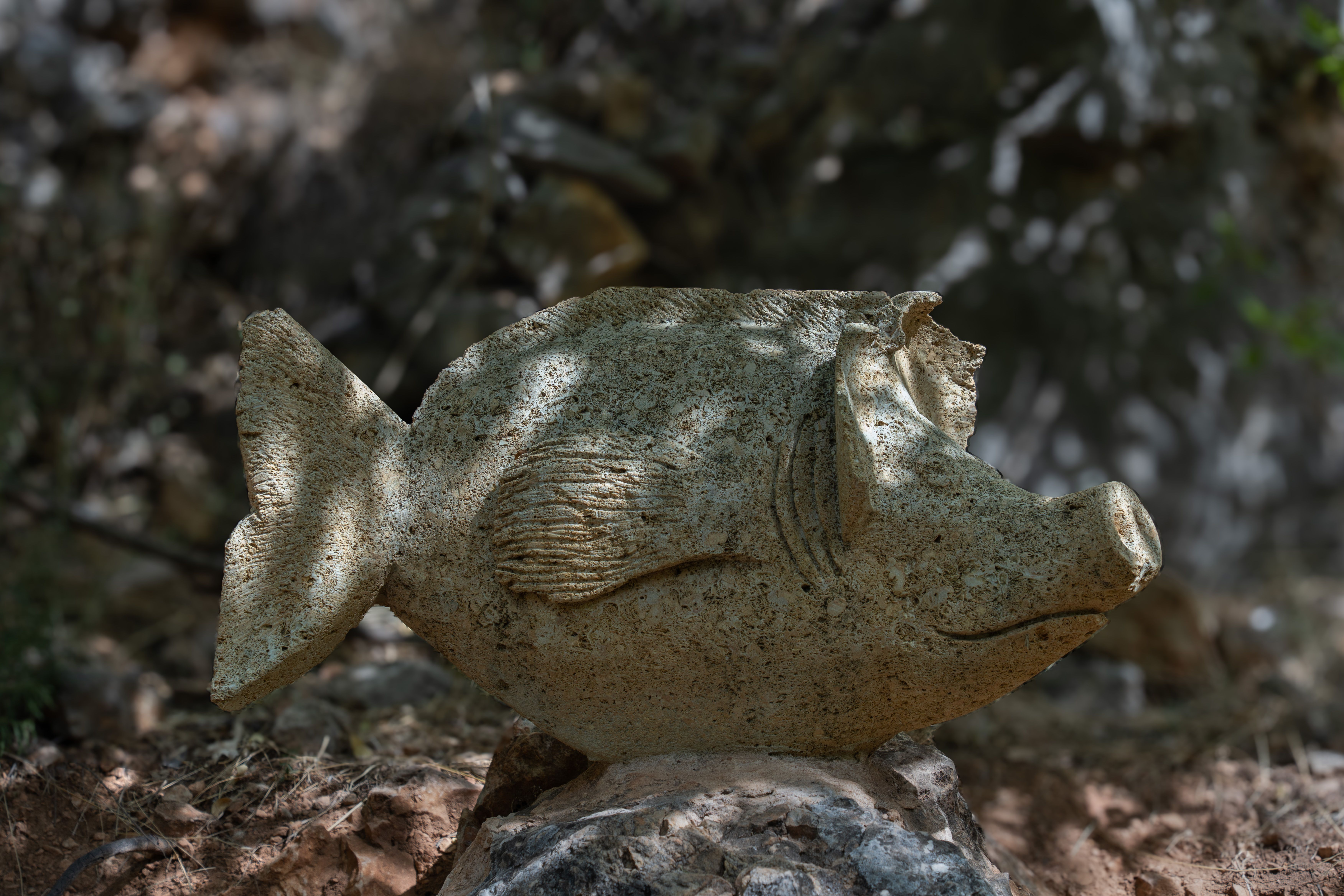 Stone Fish Sculpture in Bogarra Forest · Free Stock Photo
