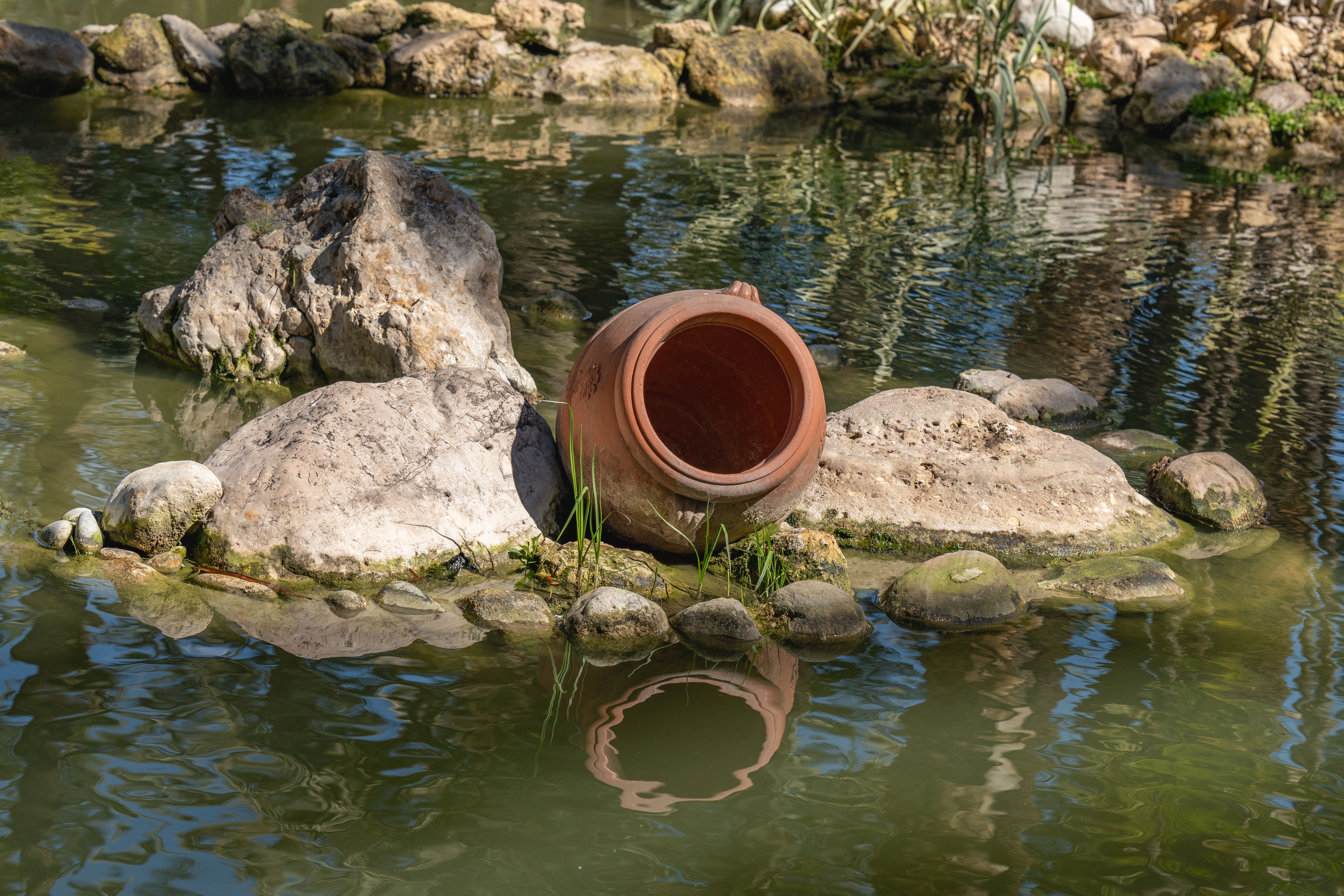 Terracotta pot by a tranquil pond with stones and reflections in Elche, Spain.
