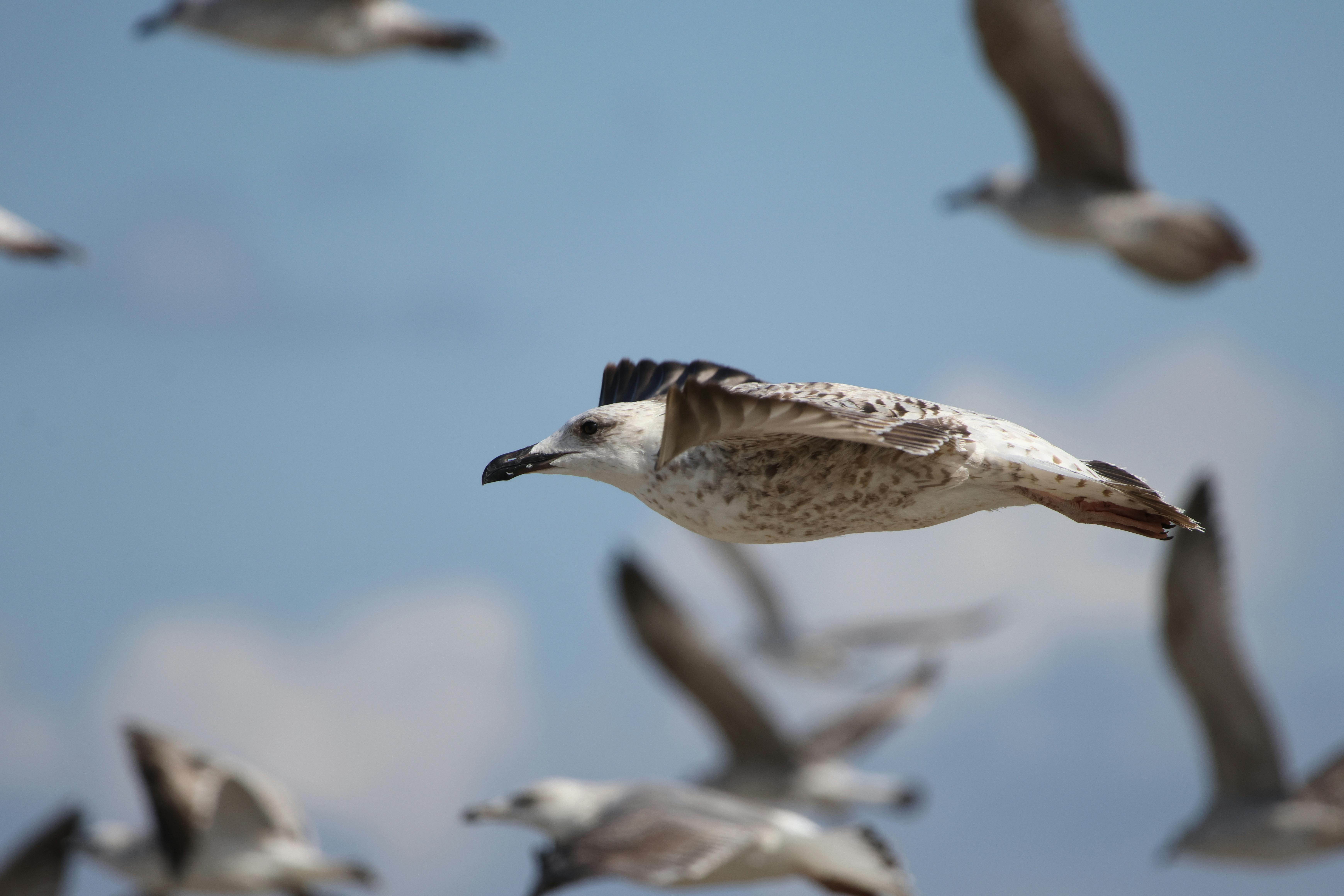 財經：海洋公園去年虧損2.75億 但經營盈餘與入場人次雙增