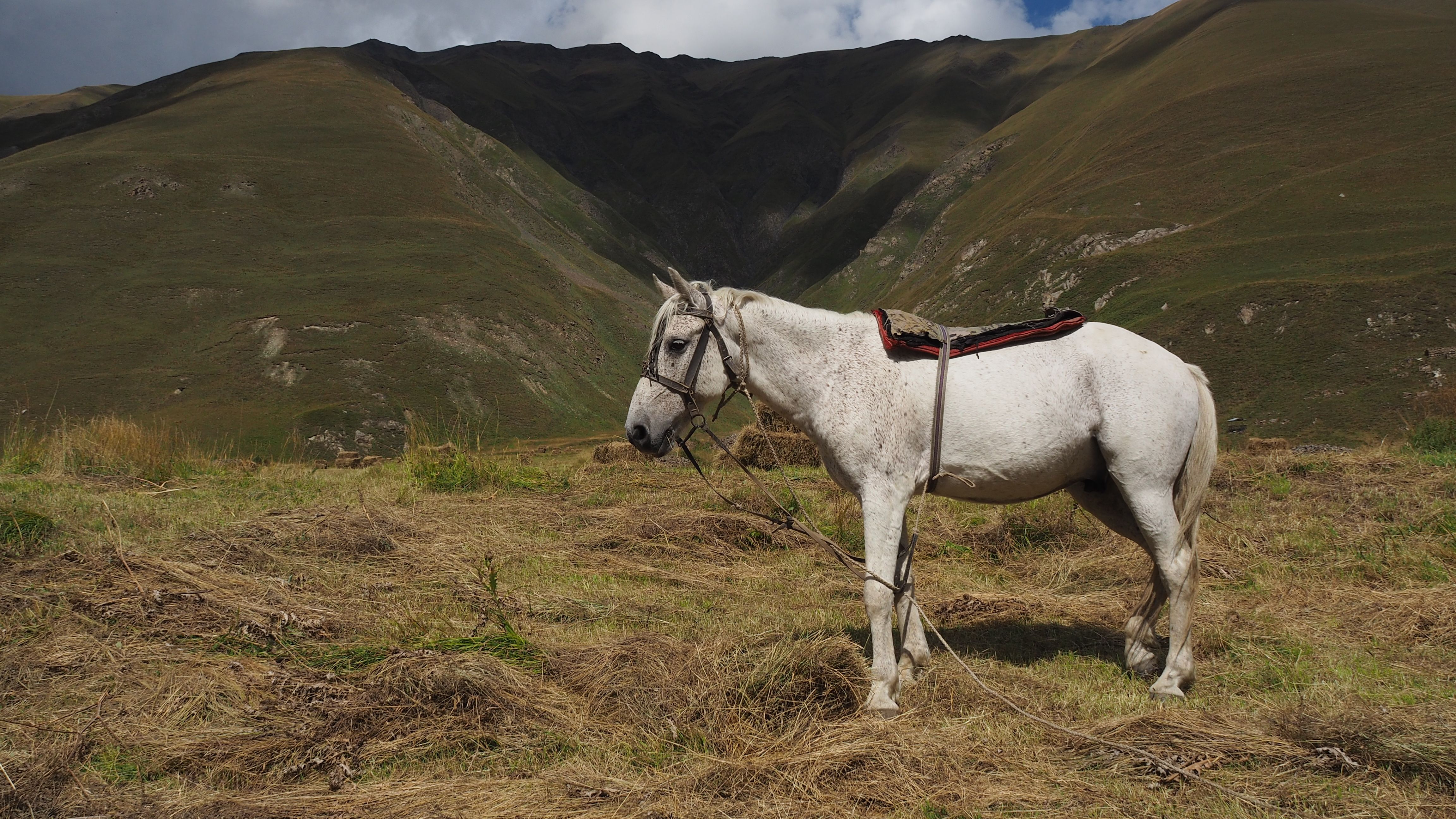 Drumeții montane în Alpi: ce trebuie să știi înainte să pleci