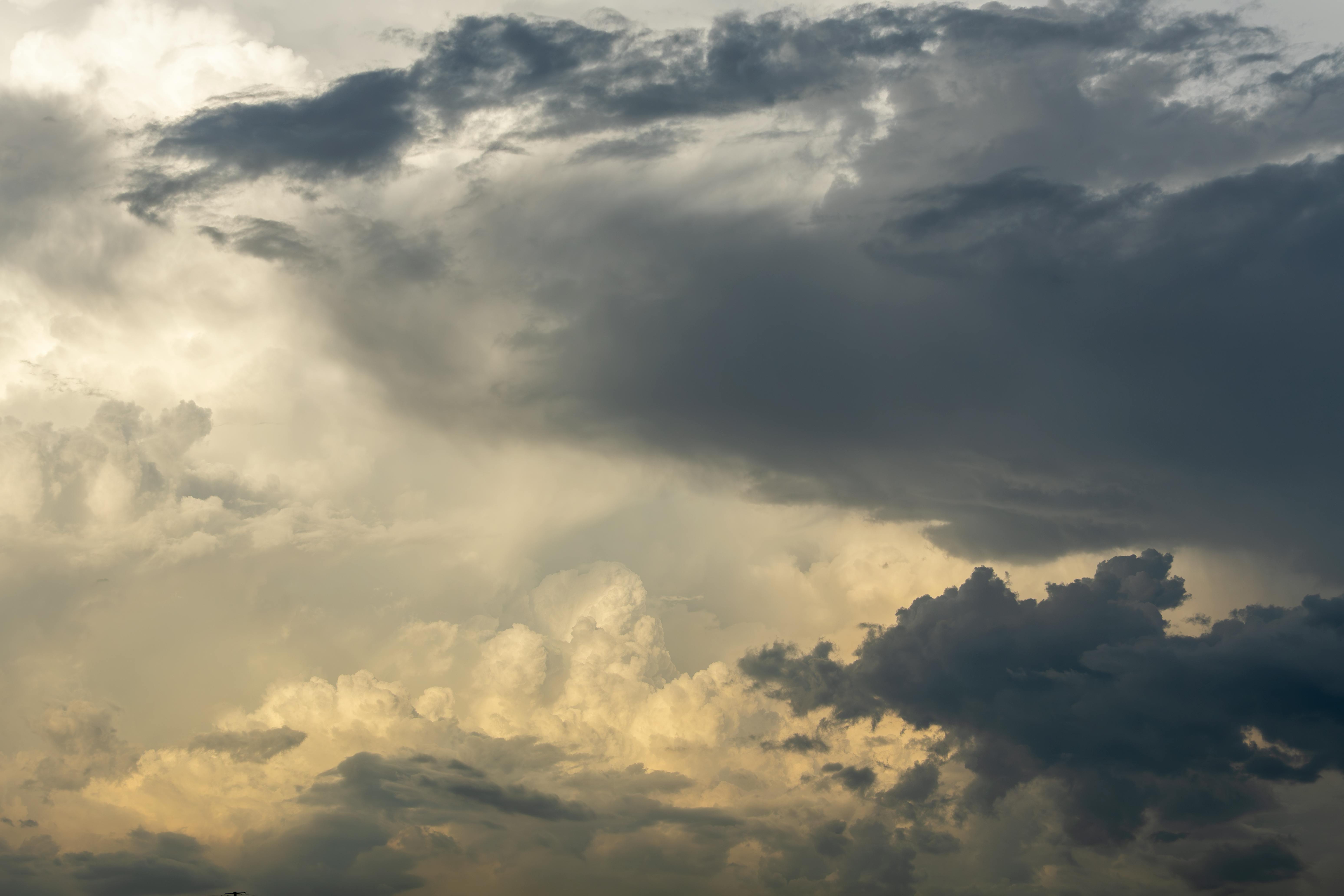 Mastering Conditional Formatting to Wow Your Team