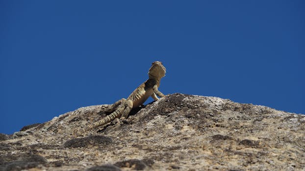 Road views on the way from from Tbilisi to Goris