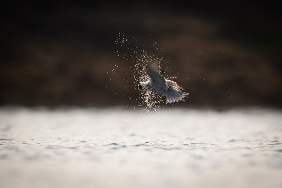 migrar site WordPress sem downtime