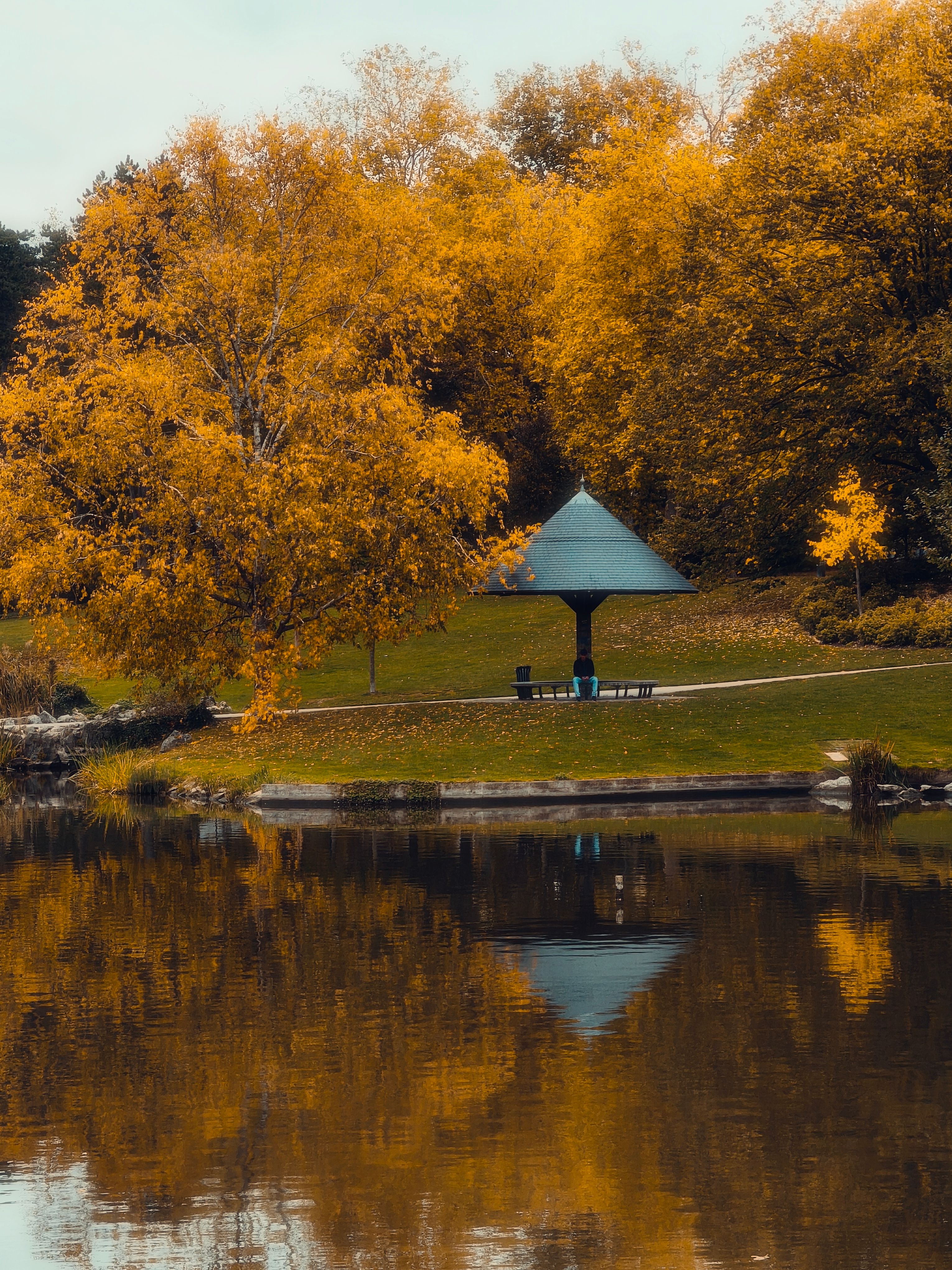 Scenic Autumn Park View with Reflective Pond · Free Stock Photo