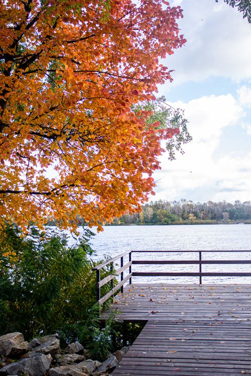Free Vibrant autumn foliage by a serene lakeside with a wooden deck view. Stock Photo