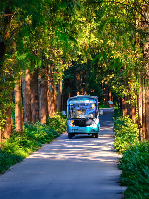 Free Electric tram travels through a sunlit forest path, surrounded by lush green trees. Stock Photo