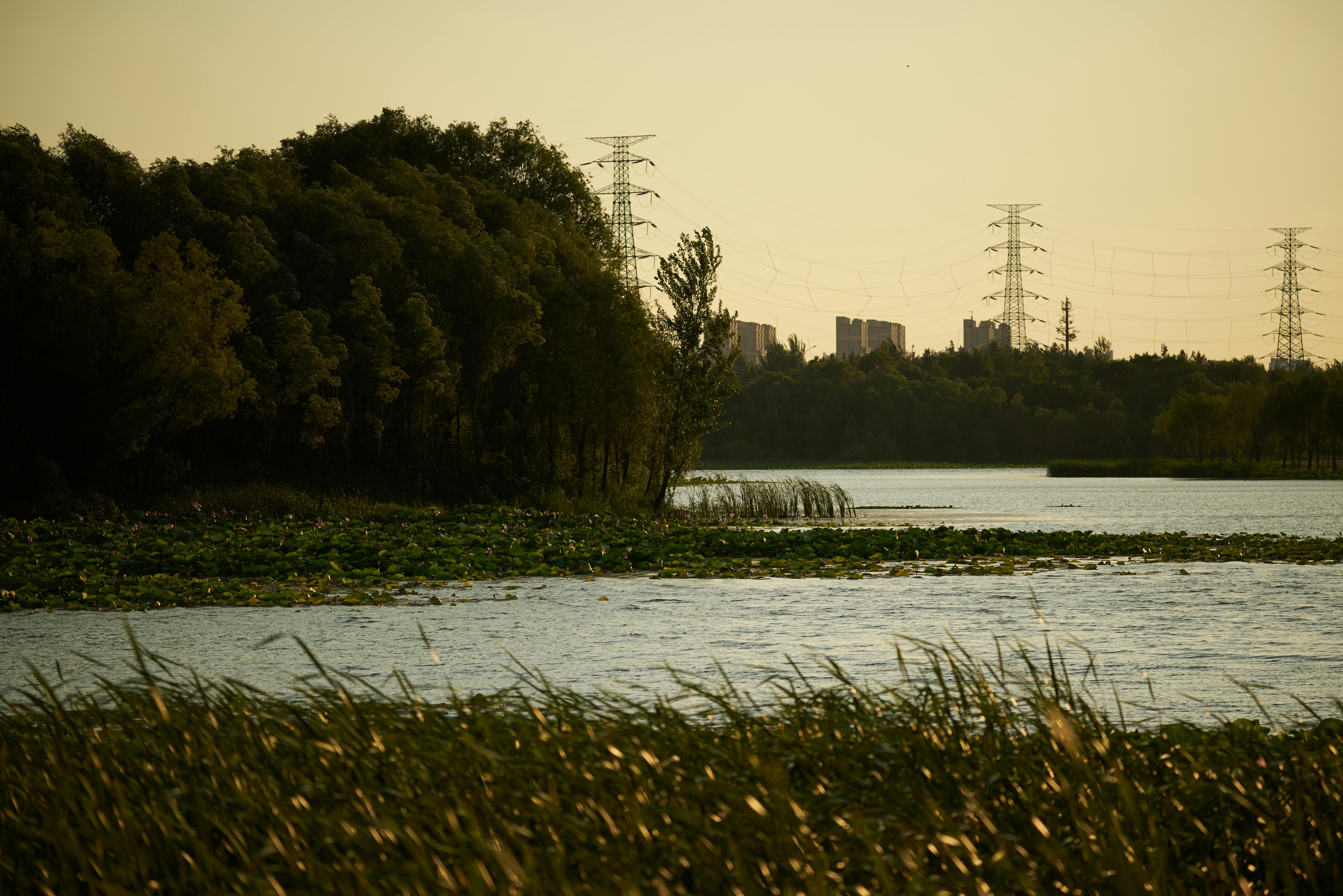 아몬드버터 에너지볼