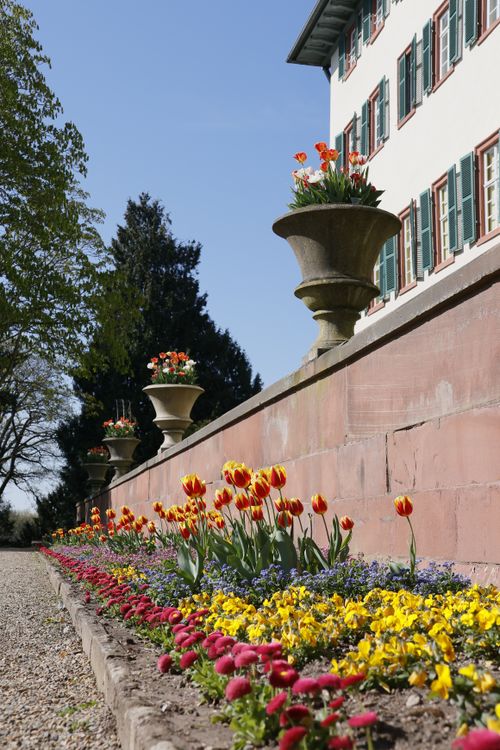 Spring Flower Garden with Historic Building · Free Stock Photo