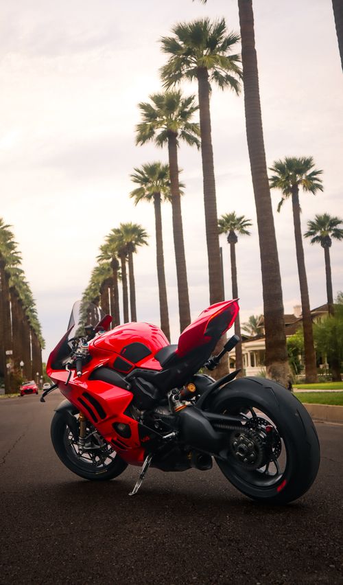 Free Bright red motorcycle parked on a palm-lined street, creating a striking urban scene. Stock Photo