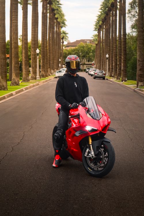Free A person sits on a red motorcycle in a palm-lined street, facing away. Stock Photo