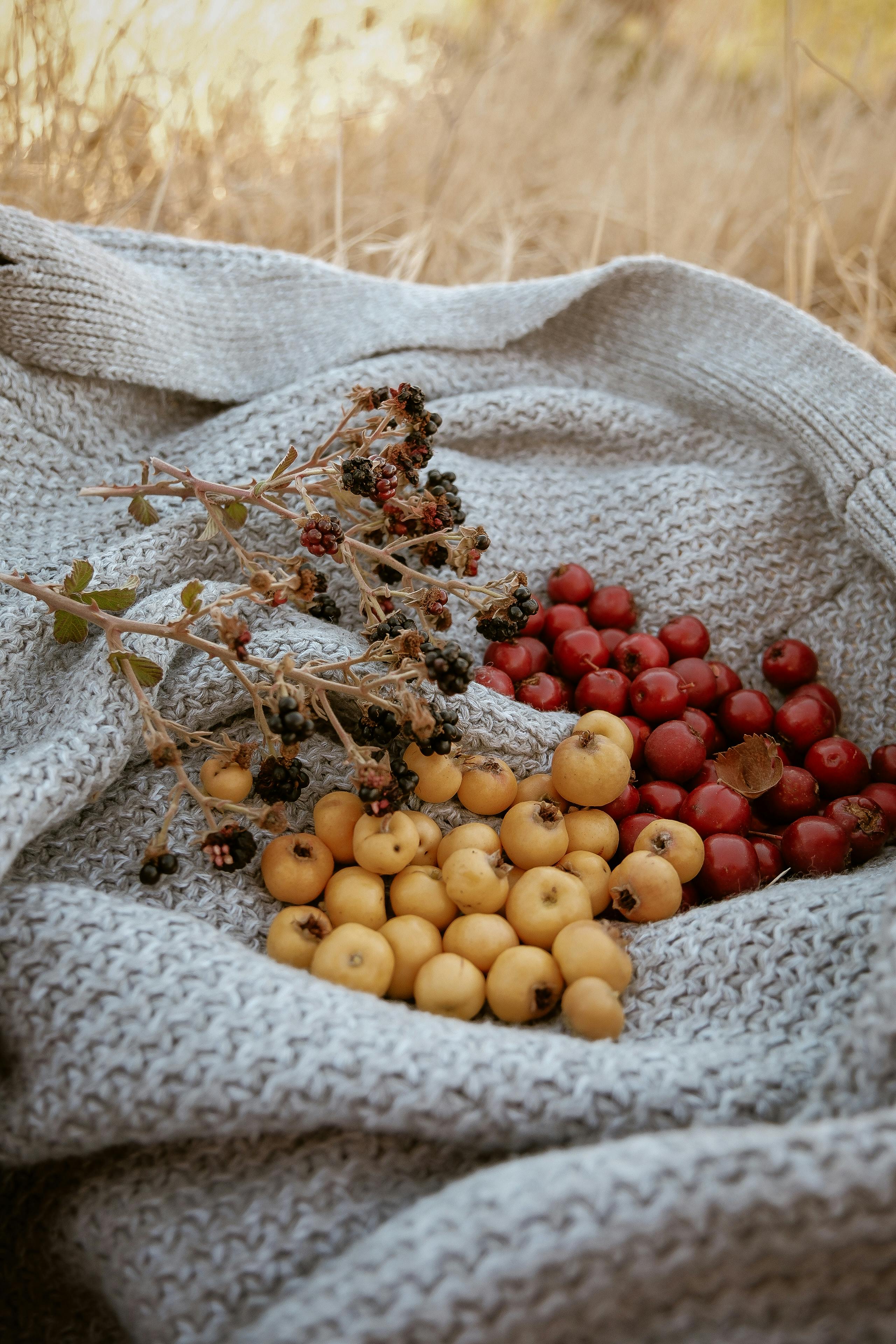 Explorando los métodos inmutables de arrays en JavaScript (ES2023)