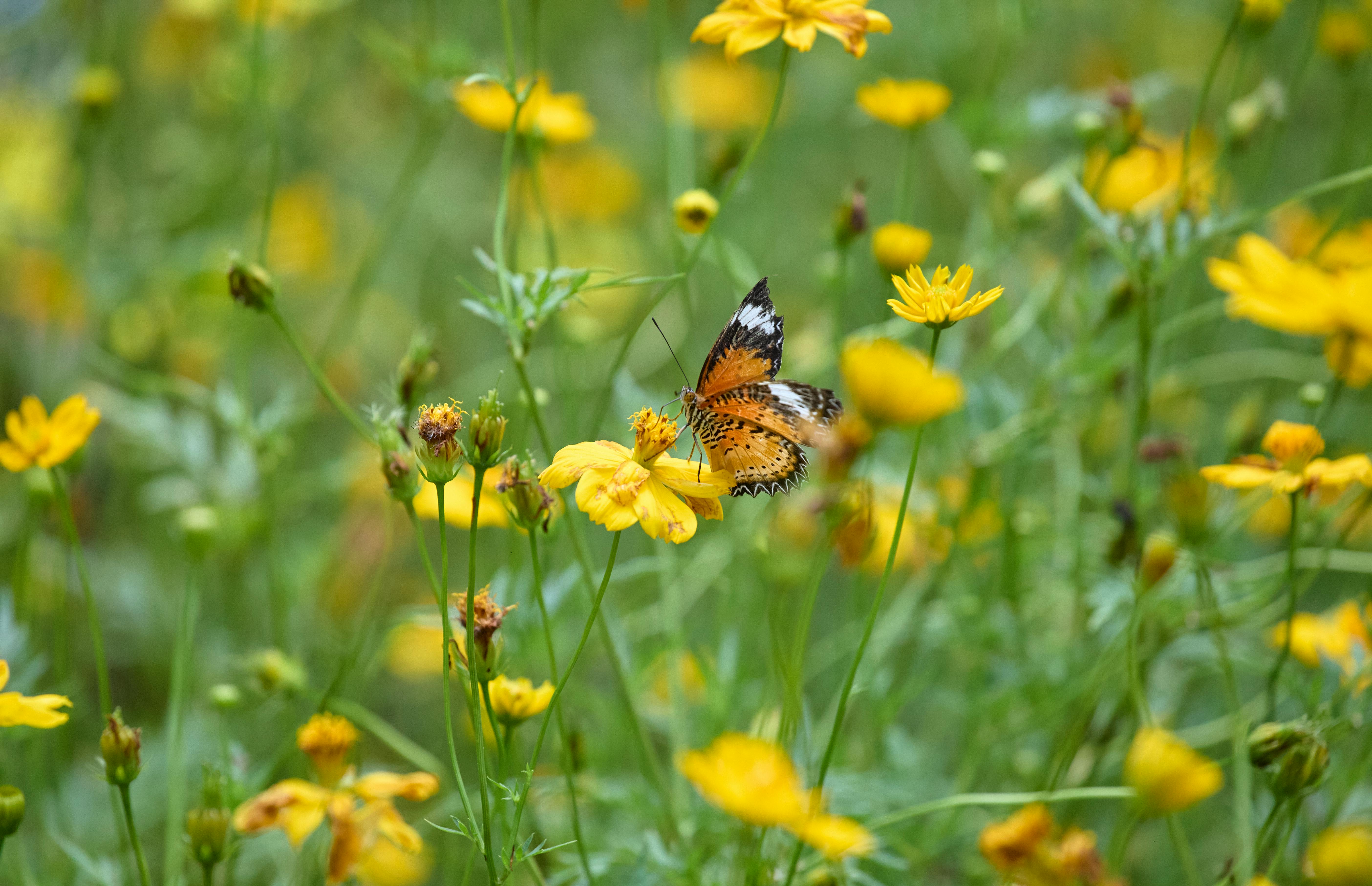 2025自綠生活節推廣綠色選擇與永續生活理念
