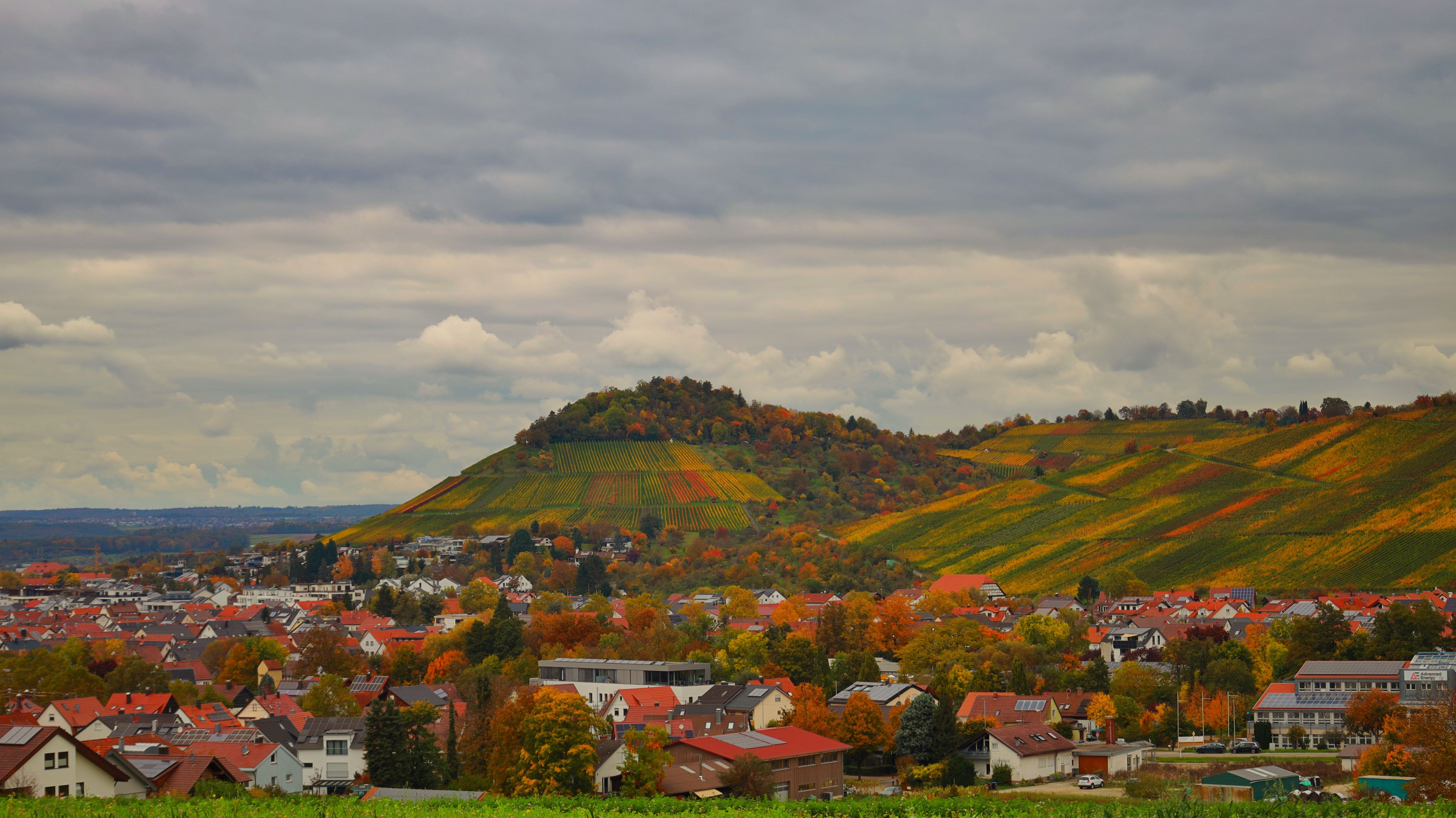 4 Day Meditation with Yoga Retreat in Hessen, Germany 2
