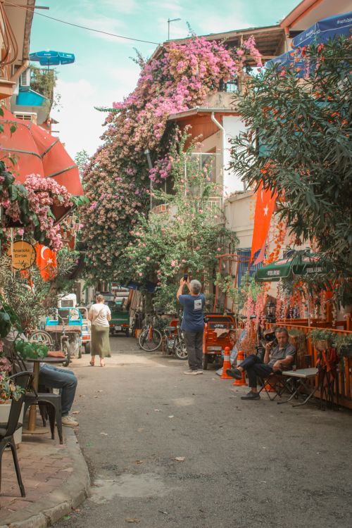 Free Vibrant street in Antalya, Turkey adorned with pink flowers and local life, capturing an authentic Mediterranean vibe. Stock Photo
