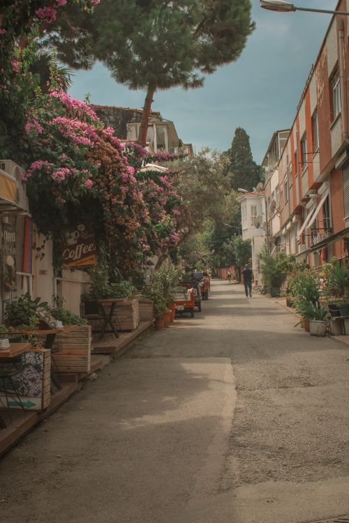 Free A picturesque urban street lined with colorful flowers and cozy cafes, capturing a tranquil day. Stock Photo