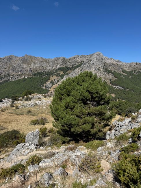 ¿Es real esto? ¡Un parador en Cazorla por solo 44€!