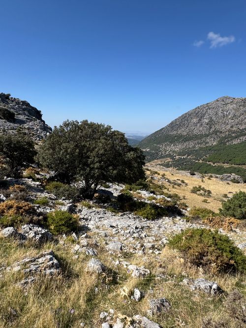 Free Breathtaking view of rocky terrain with a clear blue sky, perfect for nature enthusiasts. Stock Photo