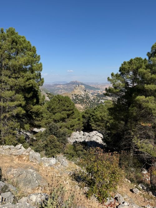 Free Panoramic view of mountains and pine trees in Andalusia, Spain. Stock Photo