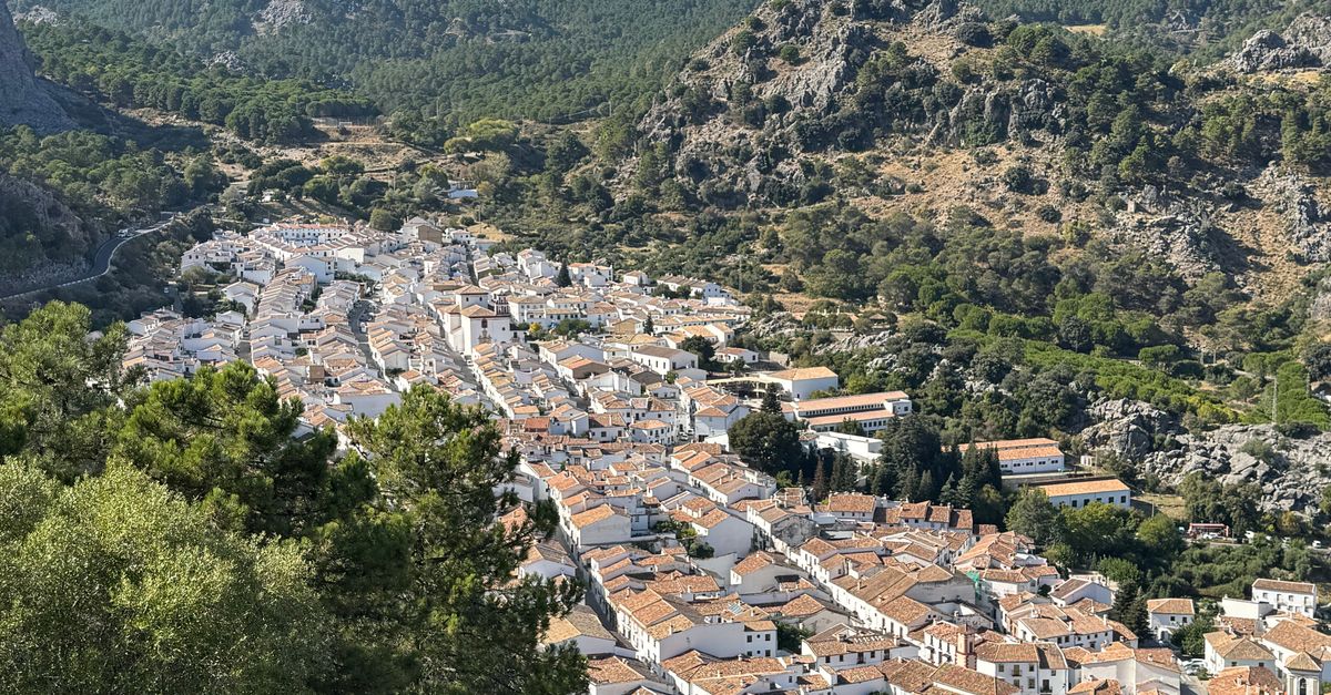 ¿Qué acciones se toman para fomentar la inclusión digital en pueblos pequeños de España? ¿Qué acciones se toman para fomentar la inclusión digital en pueblos pequeños de España?