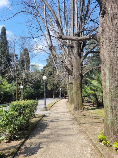 Free A tranquil park pathway lined with trees and vintage lamps during early spring. Stock Photo