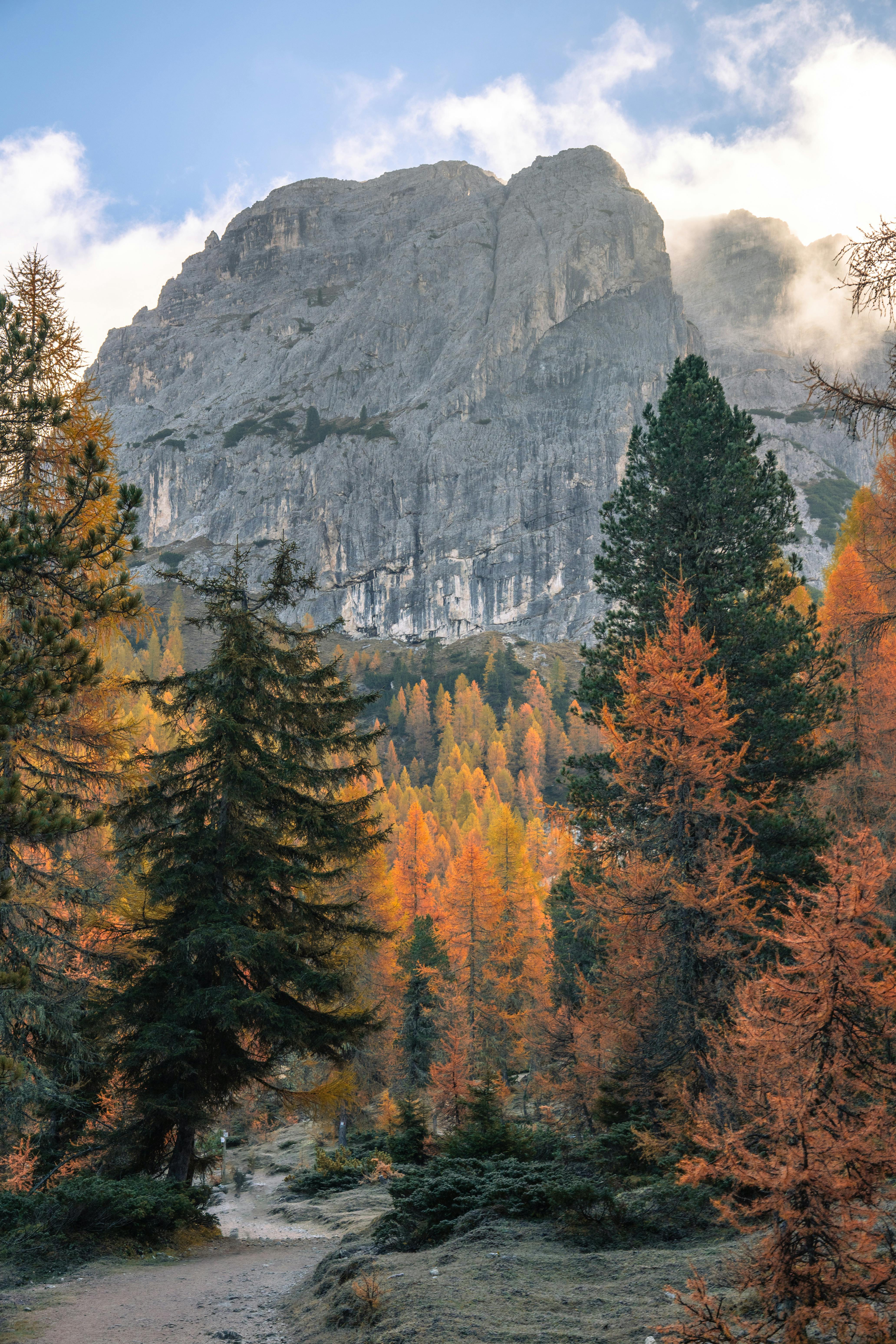 Stunning autumn scenery with mountain backdrop in the Dolomites, Italy.
