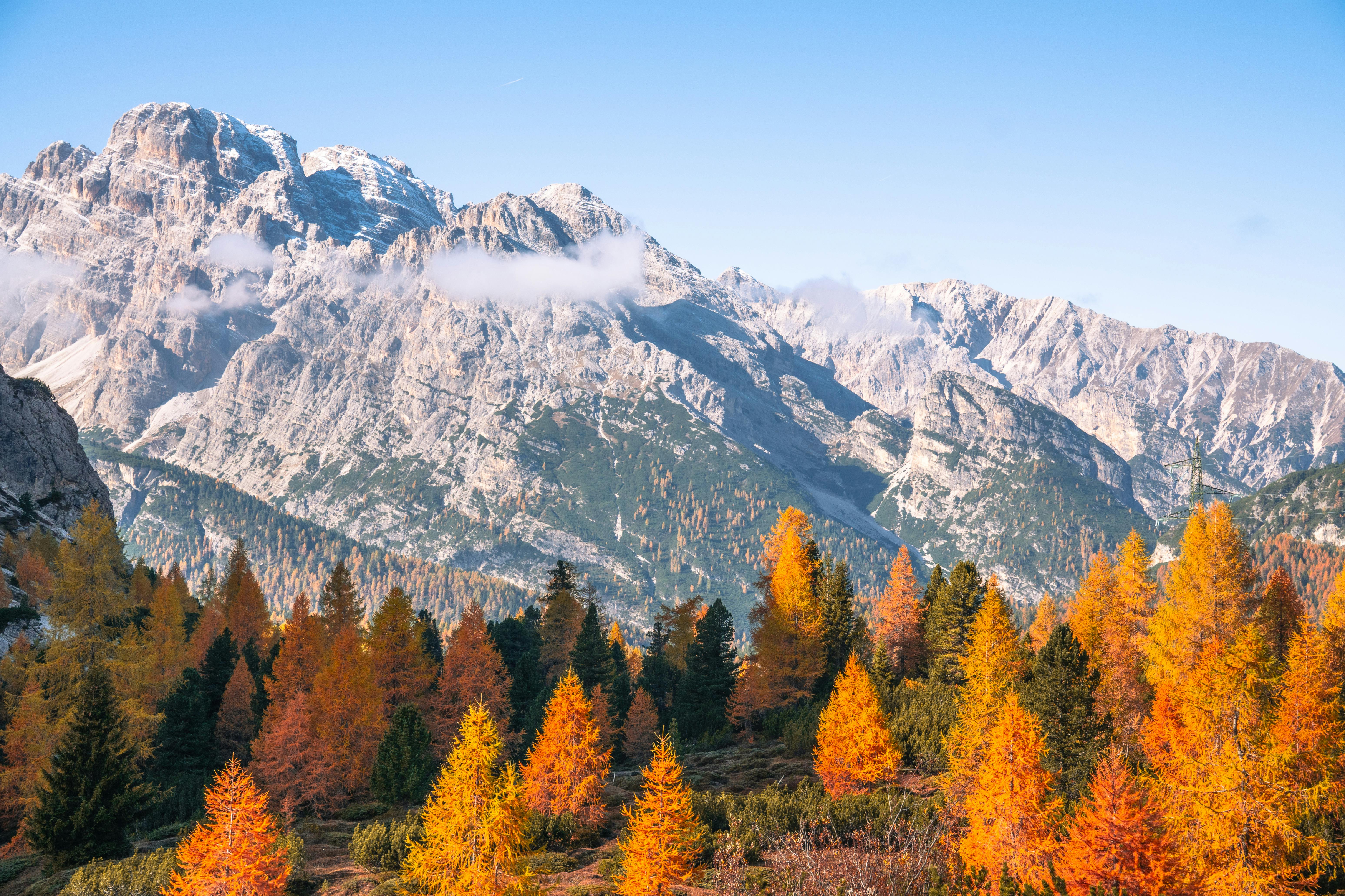 Stunning autumn view of the Dolomites with vibrant orange foliage and majestic mountains in Italy.