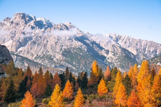 Stunning autumn view of the Dolomites with vibrant orange foliage and majestic mountains in Italy.