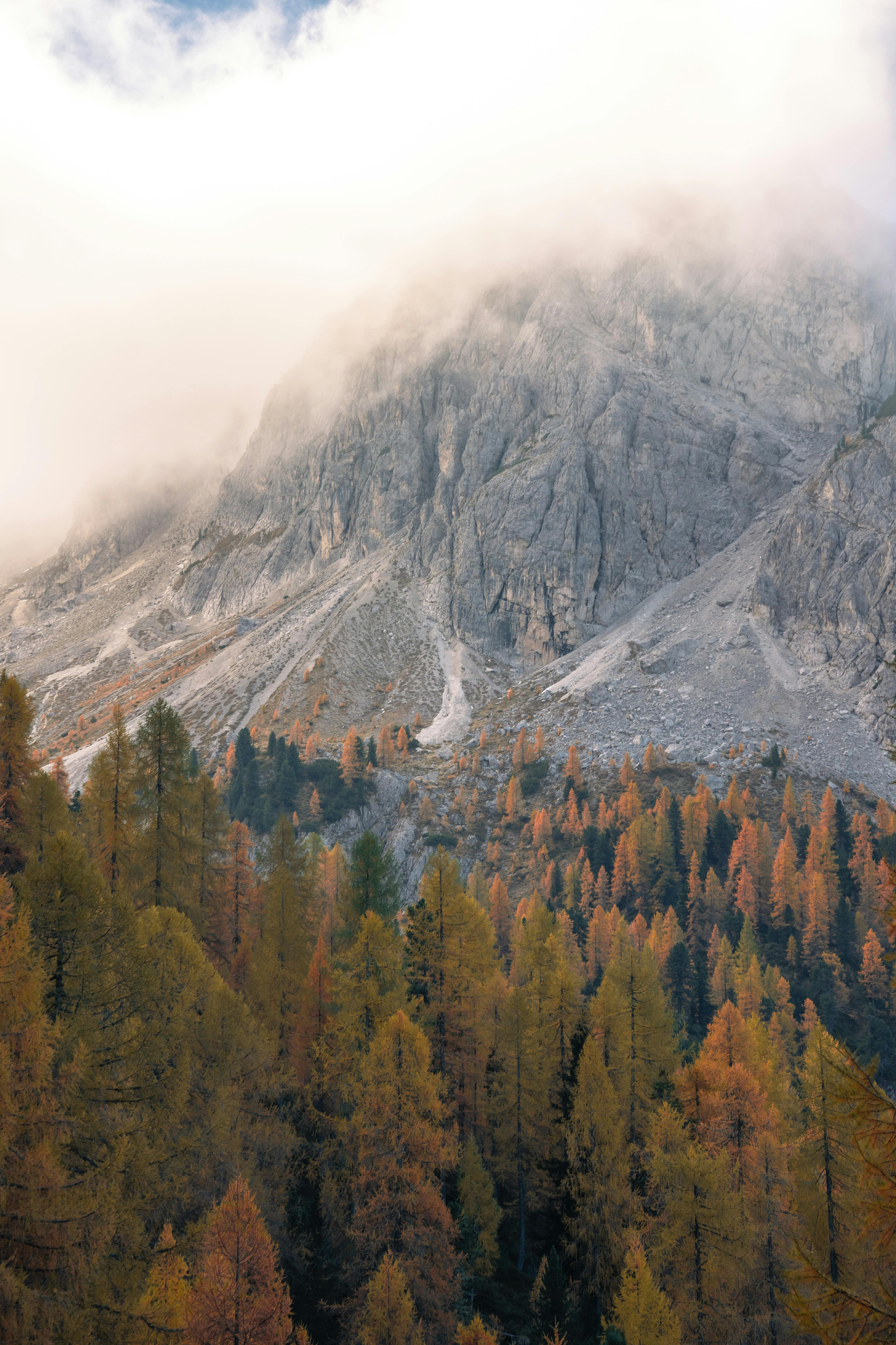 Beautiful autumn view of the Dolomites in Italy, shrouded in mist with vibrant fall foliage.