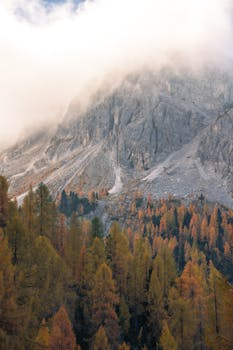 Beautiful autumn view of the Dolomites in Italy, shrouded in mist with vibrant fall foliage.