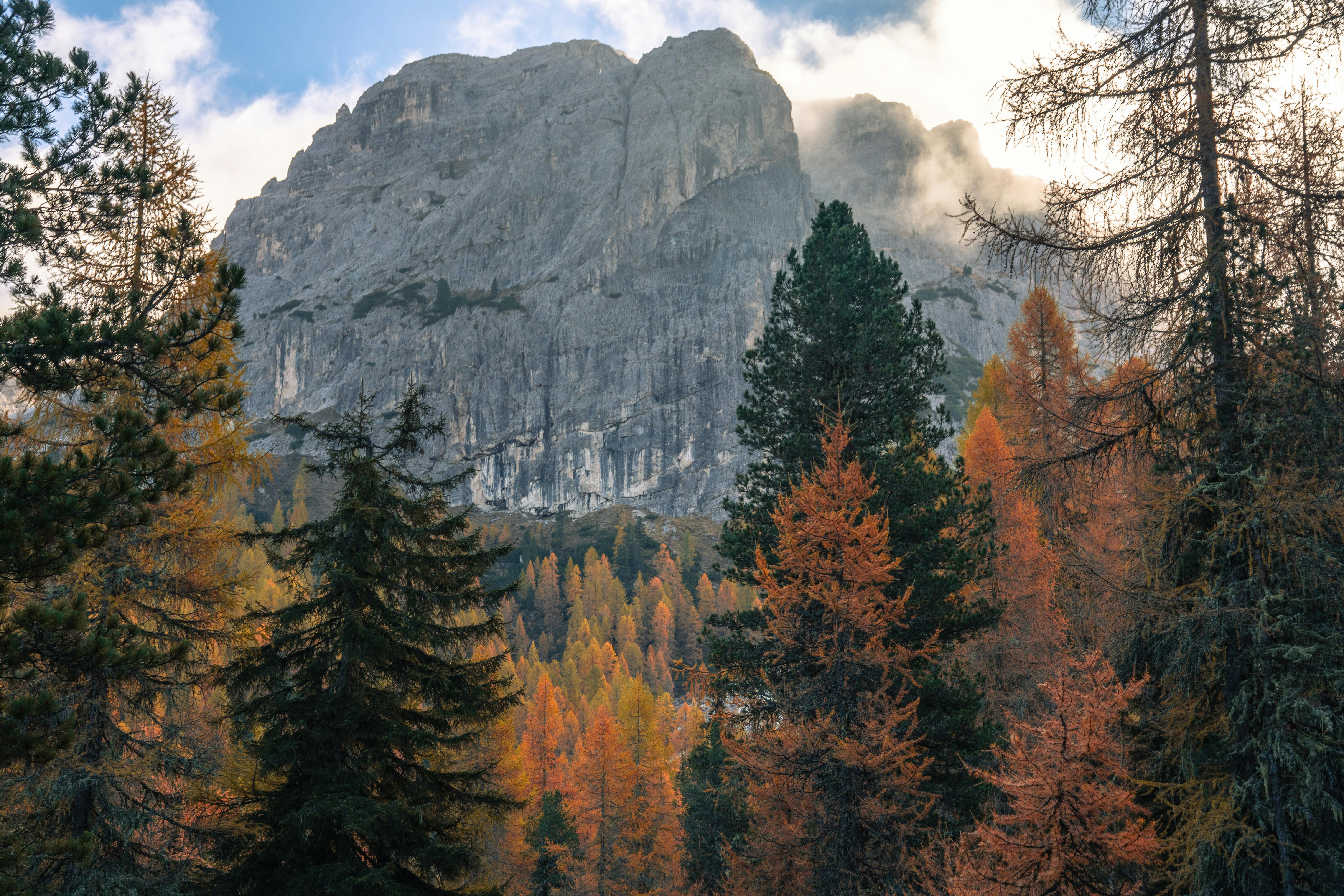 Stunning Autumn Landscape in Dolomites, Italy · Free Stock Photo, image size:6192x4128