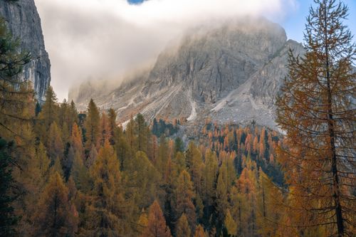 Free Stunning autumn view of the Dolomites in Veneto, Italy with vibrant foliage and misty mountains. Stock Photo