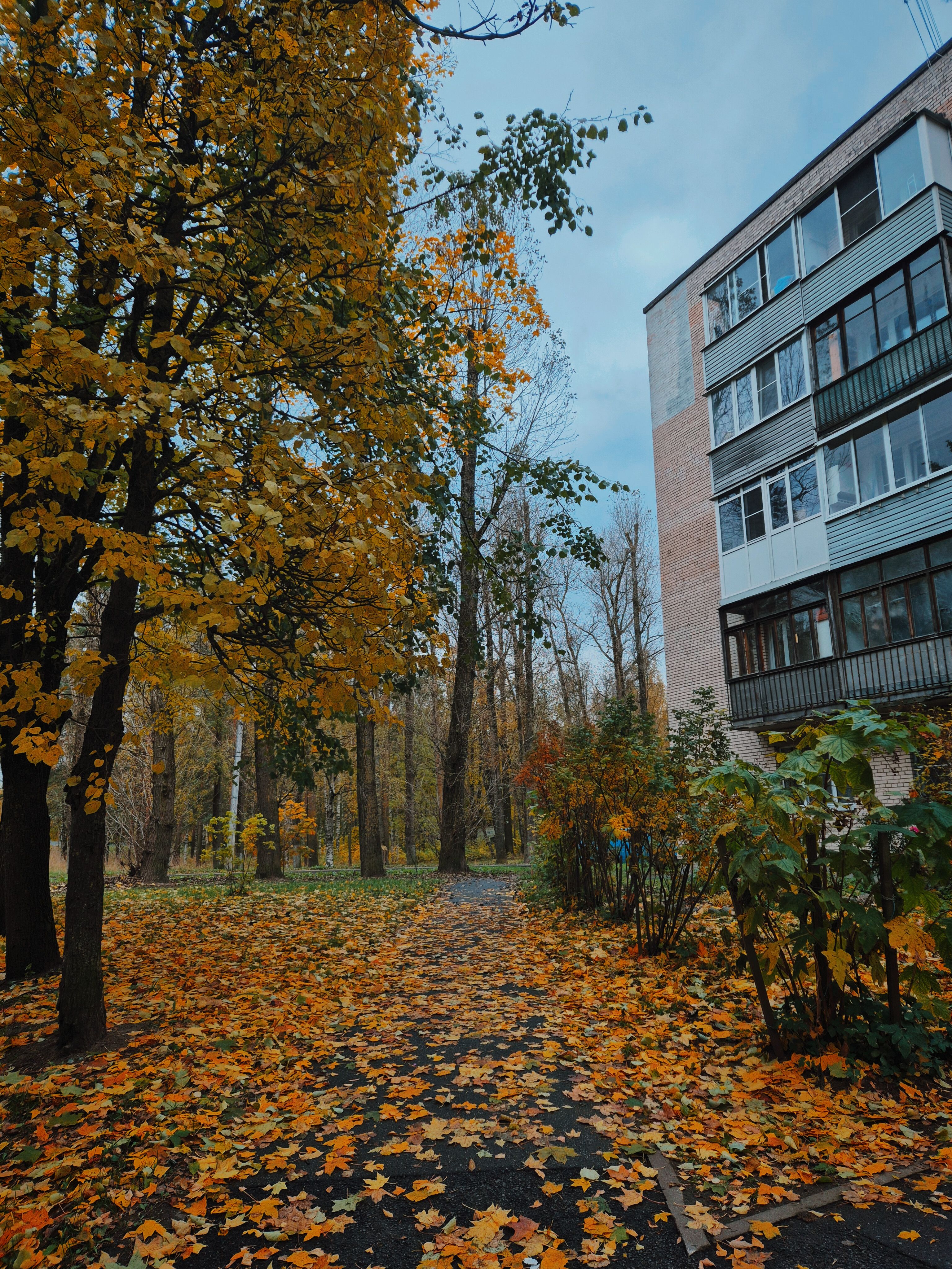 Scenic Autumn Park with Urban Building Backdrop · Free Stock Photo