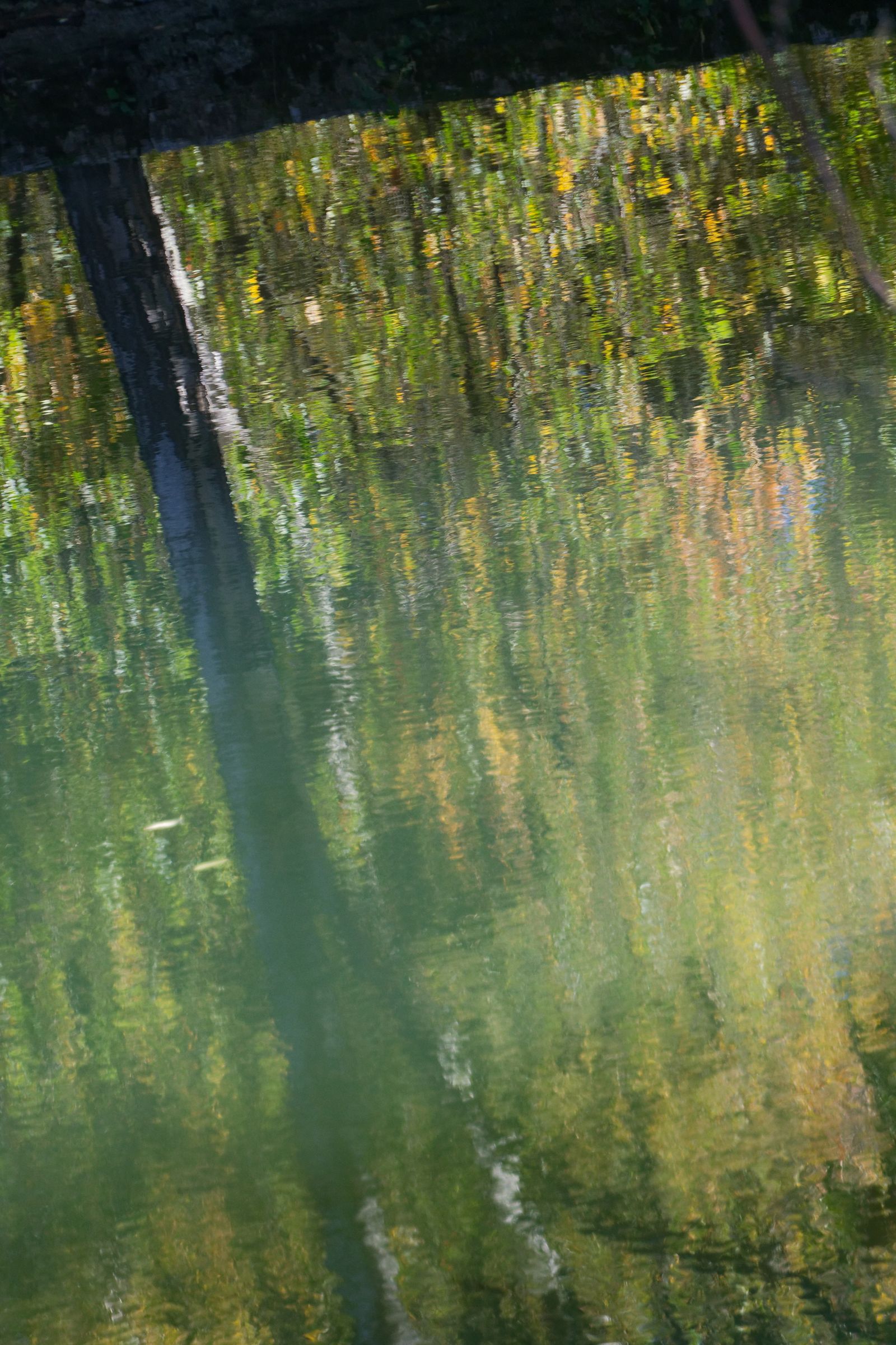 Reflet