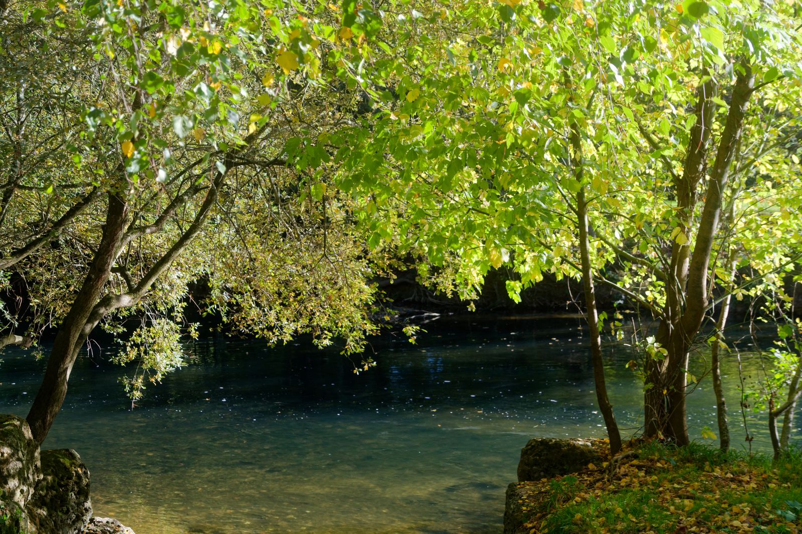 Rive de la nature