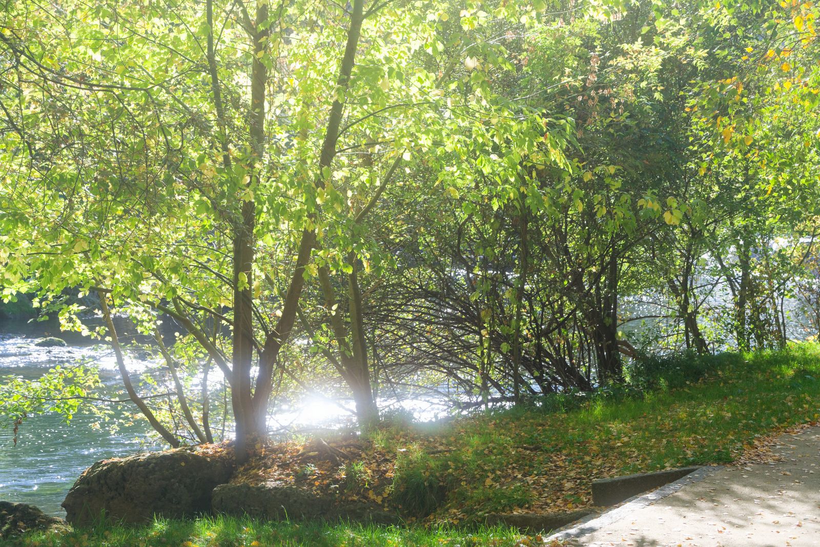 Marches de la rive