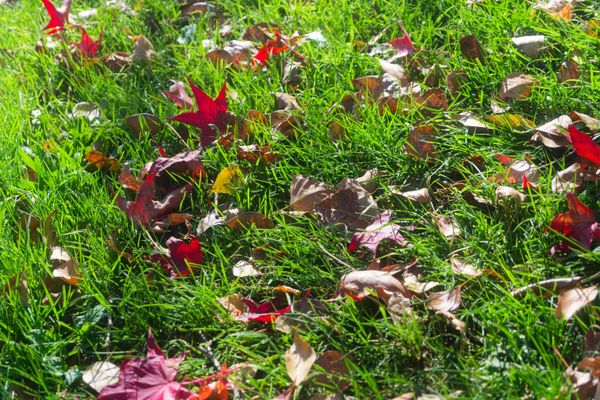 Nature et cycle