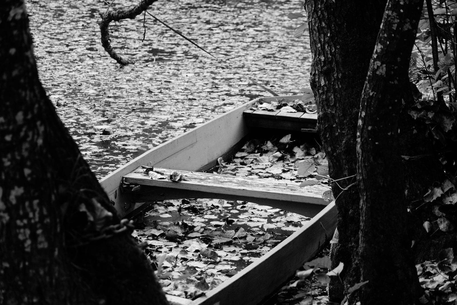 A moody black and white photo of an empty rowboat surrounded by fallen autumn leaves on a calm lake