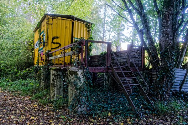 Abandon