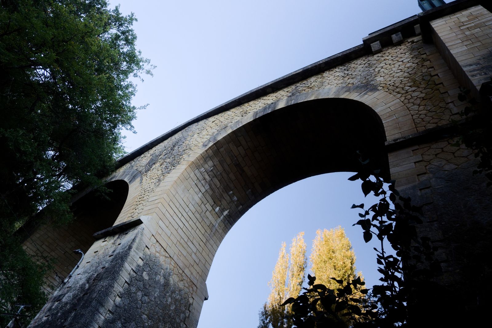 Arche