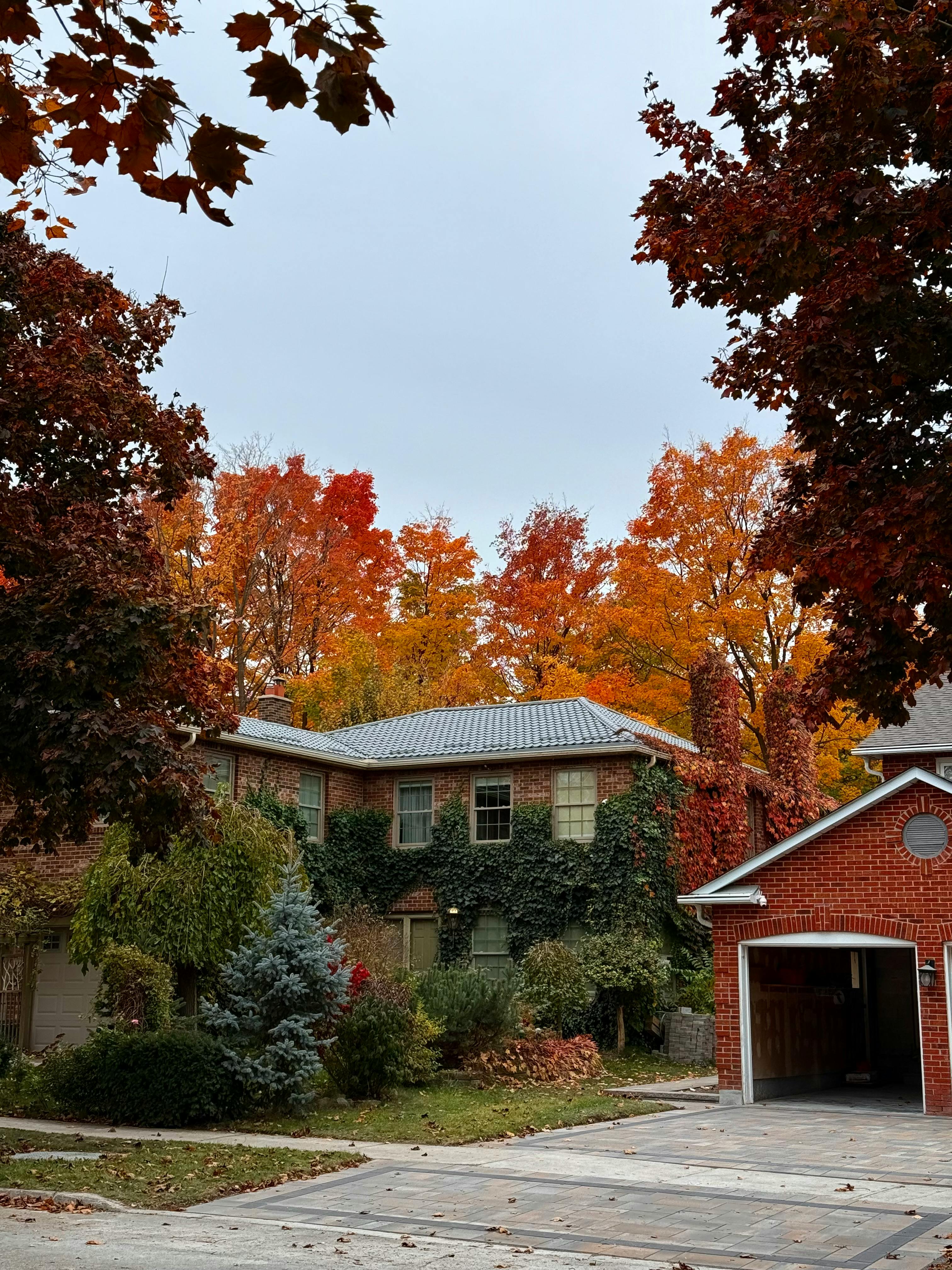 Neighbourhood in Toronto