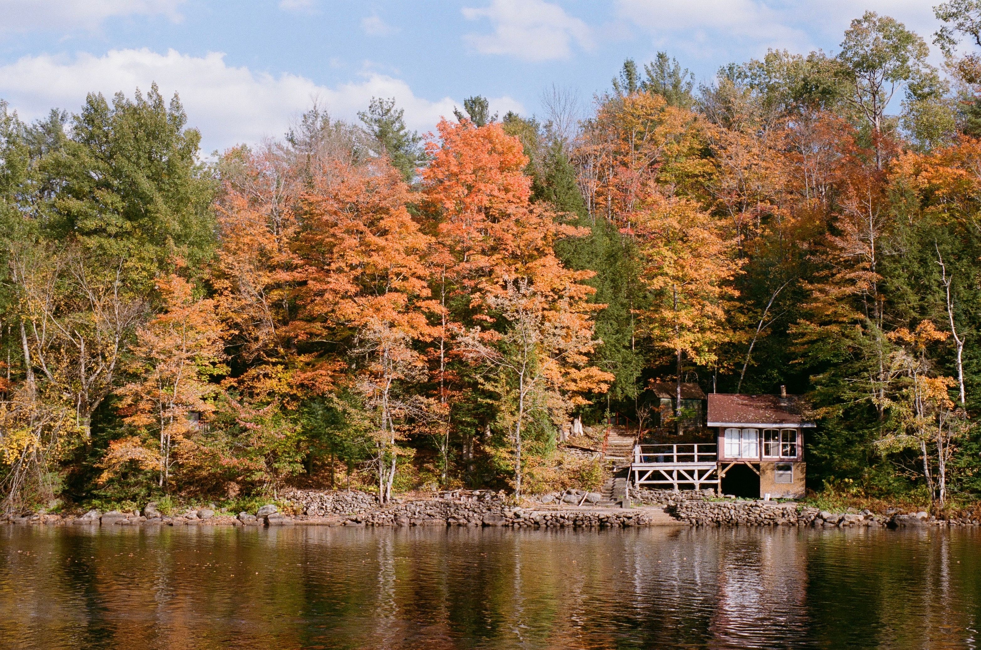 Charming lakeside cabin amidst colorful fall foliage, serene and inviting.