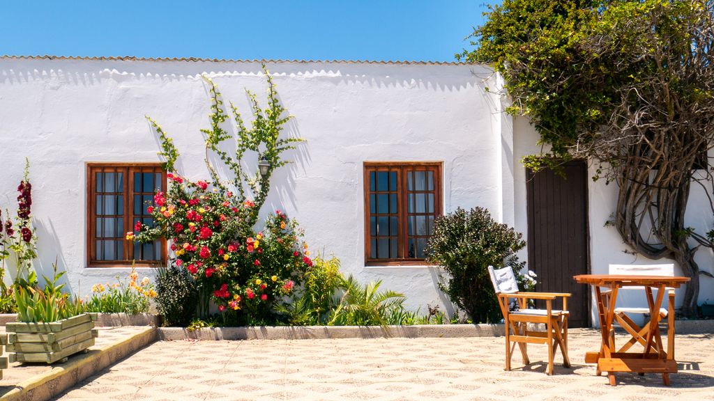 Decoração de casas: ideias para todos os ambientes