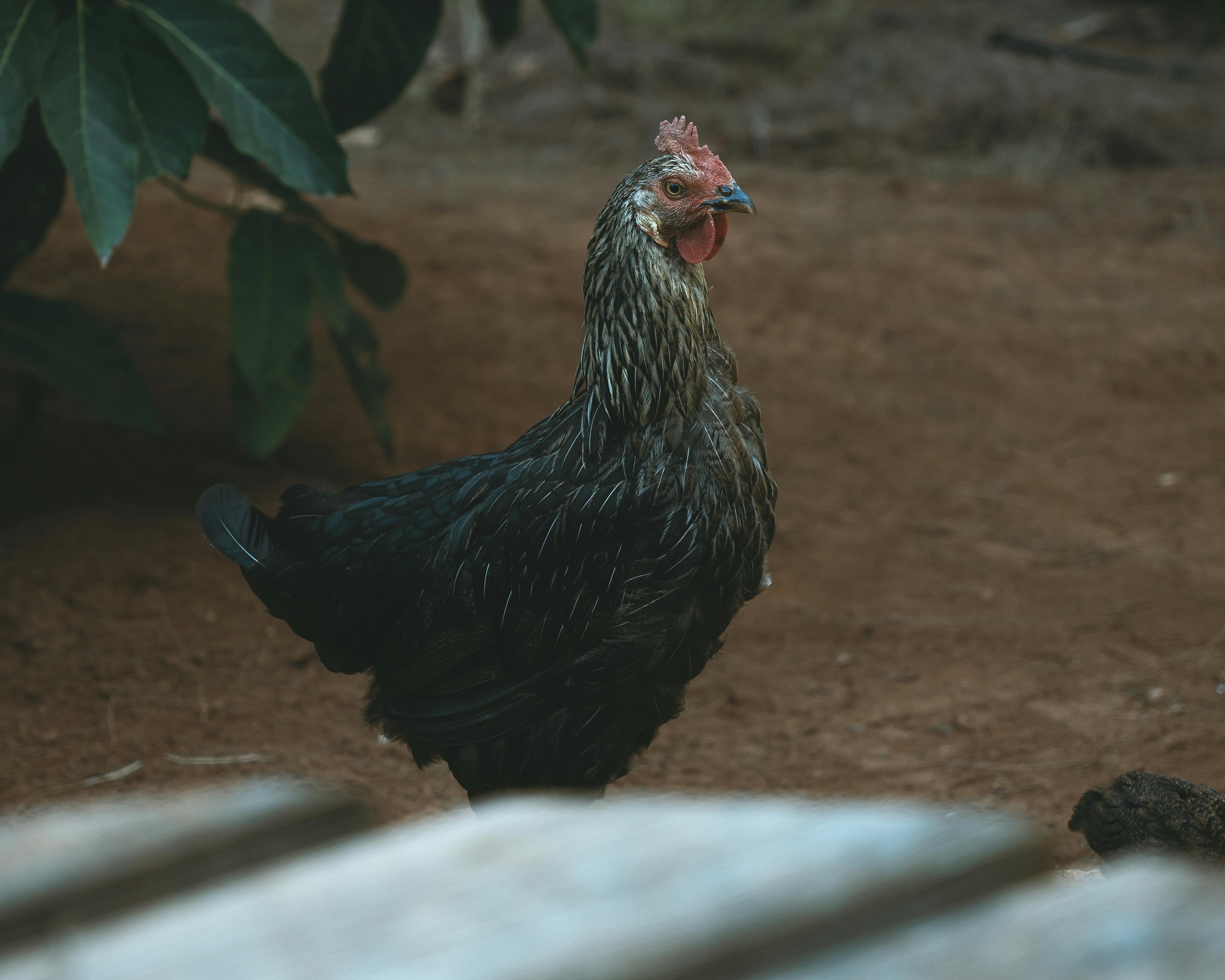2025自綠生活節推廣綠色選擇與永續生活理念