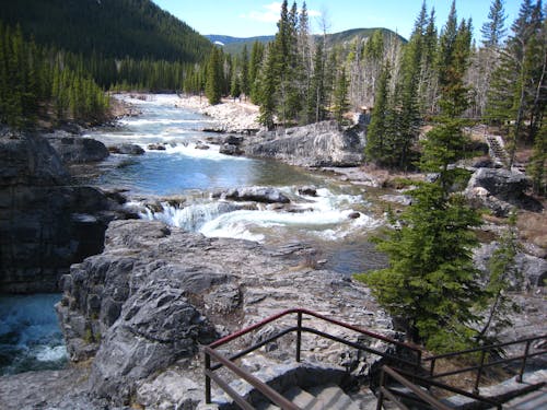 Foto profissional grátis de Alberta, árvores, cachoeira