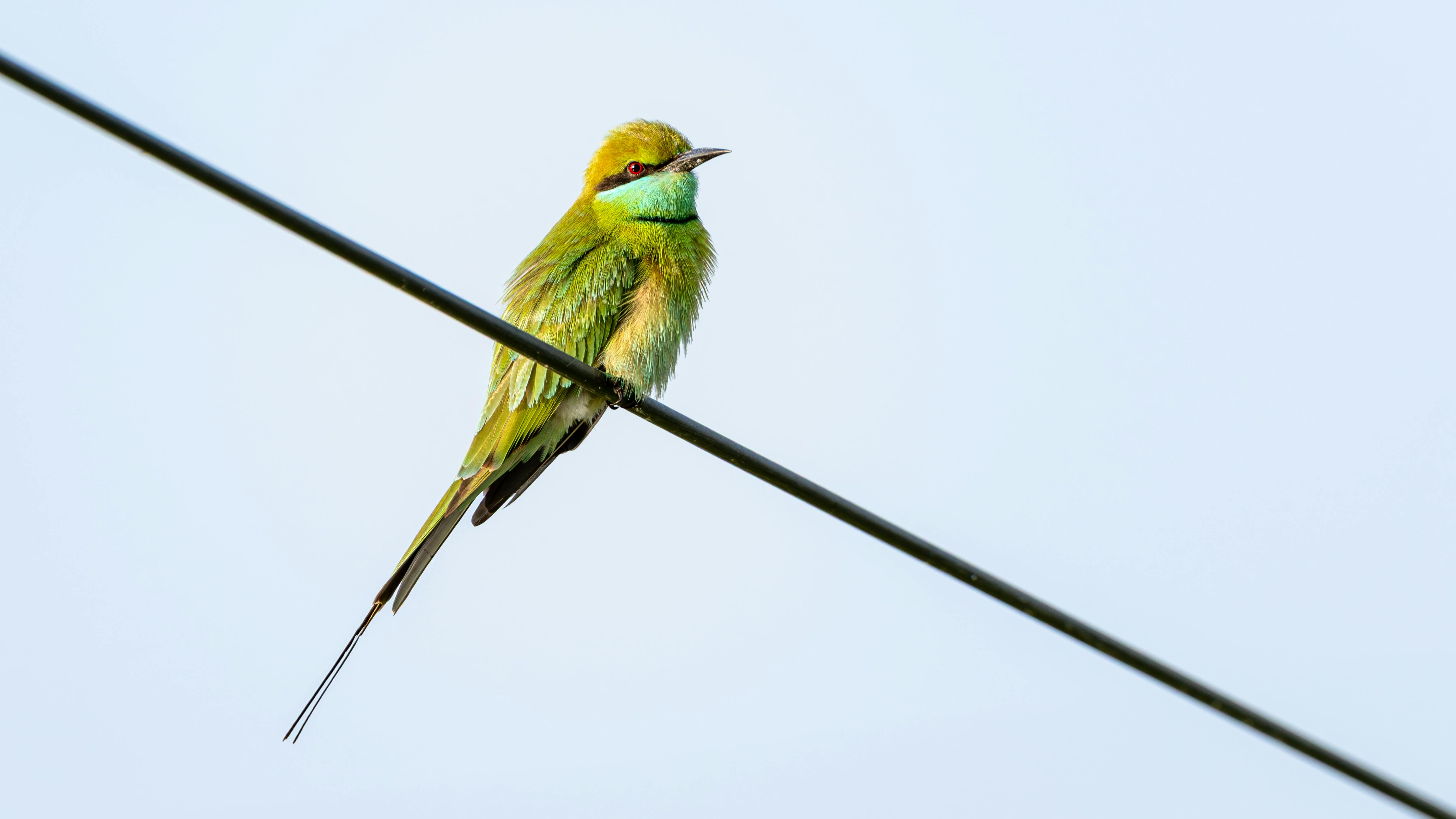 吉姆·克萊默談富國銀行股票 投資者不可忽視的財經觀點