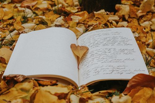 Free An open book on a bed of autumn leaves with a heart-shaped leaf as a bookmark, symbolizing love for literature. Stock Photo