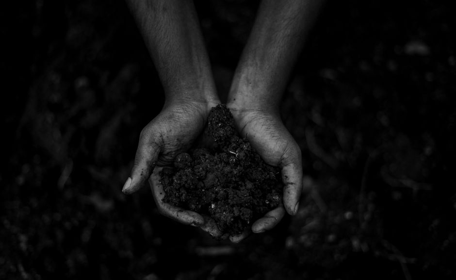 Hands holding fertile soil