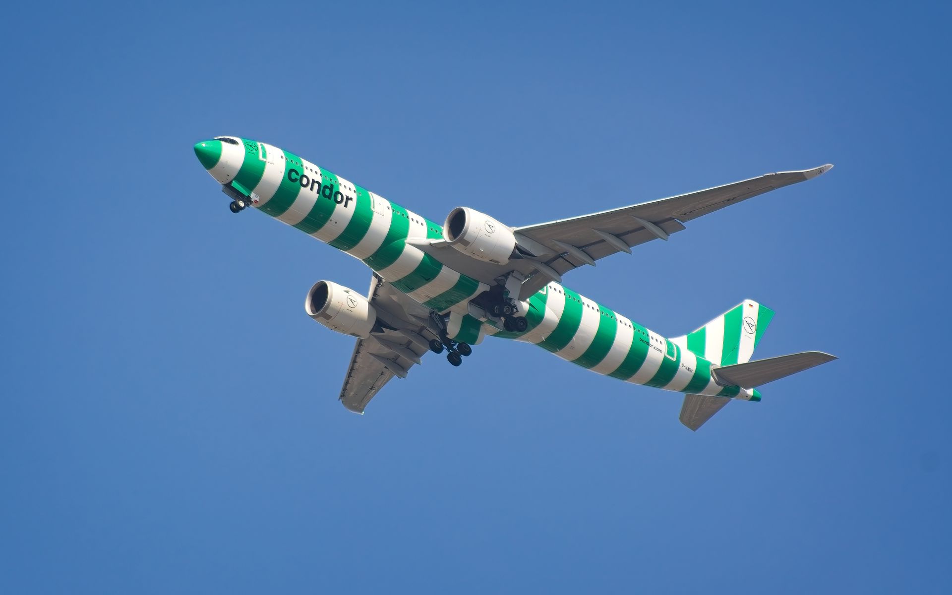 Conndor Airlines Green Island Stripe livery A330-900neo Ladning at JFK (side shot)